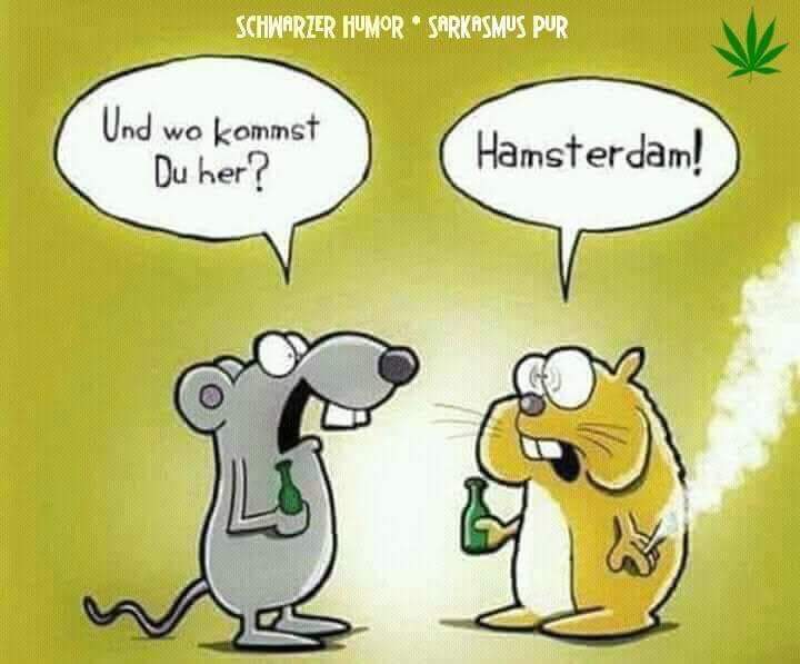 Lustige Bilder und Witze zum Thema Cannabis Offtopic Forum