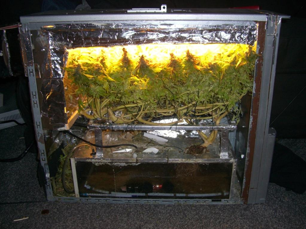 Mini Growbox Unterschrank Anfänger Forum