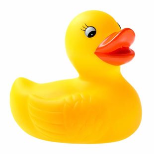 rubber-duck_0.jpg